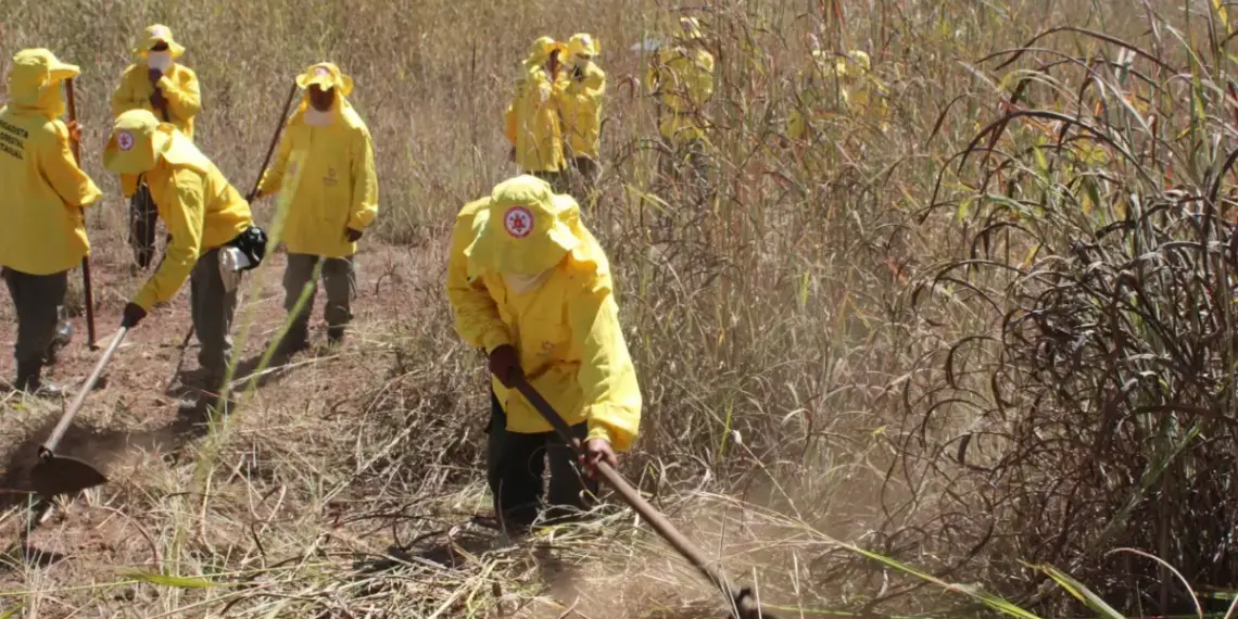 Tocantins tem 478 focos de incêndio registrados em 53 municípios e Semarh alerta para cenário crítico