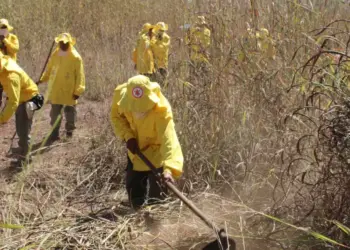 Tocantins tem 478 focos de incêndio registrados em 53 municípios e Semarh alerta para cenário crítico