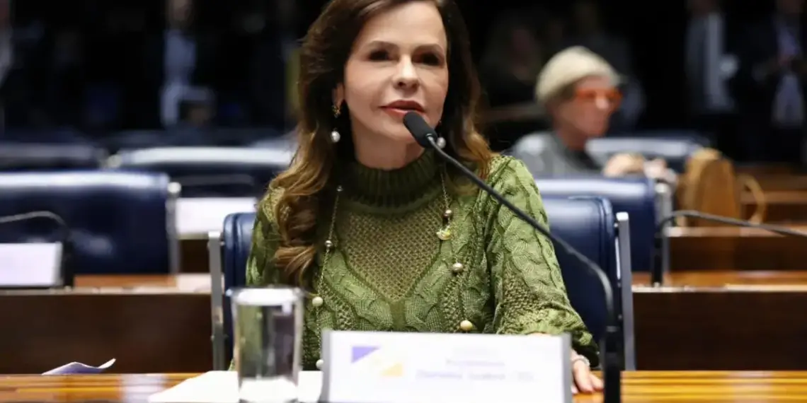 Dorinha vota MP que garante recursos para educação, saúde e emergências como a da ponte de Aguiarnópolis