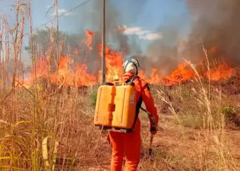 Somente no mês de Julho, Defesa Civil de Palmas atua em mais de 100 focos de incêndio com maior incidência na região sul da Capital; veja como denunciar