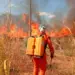 Somente no mês de Julho, Defesa Civil de Palmas atua em mais de 100 focos de incêndio com maior incidência na região sul da Capital; veja como denunciar