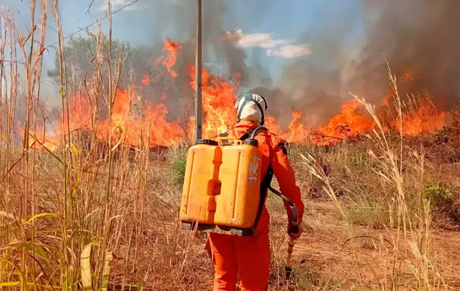 Somente no mês de Julho, Defesa Civil de Palmas atua em mais de 100 focos de incêndio com maior incidência na região sul da Capital; veja como denunciar