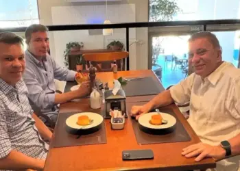 Homero Barreto Jr. e Amastha discutem impactos da possível federação entre Cidadania e PSB no Tocantins