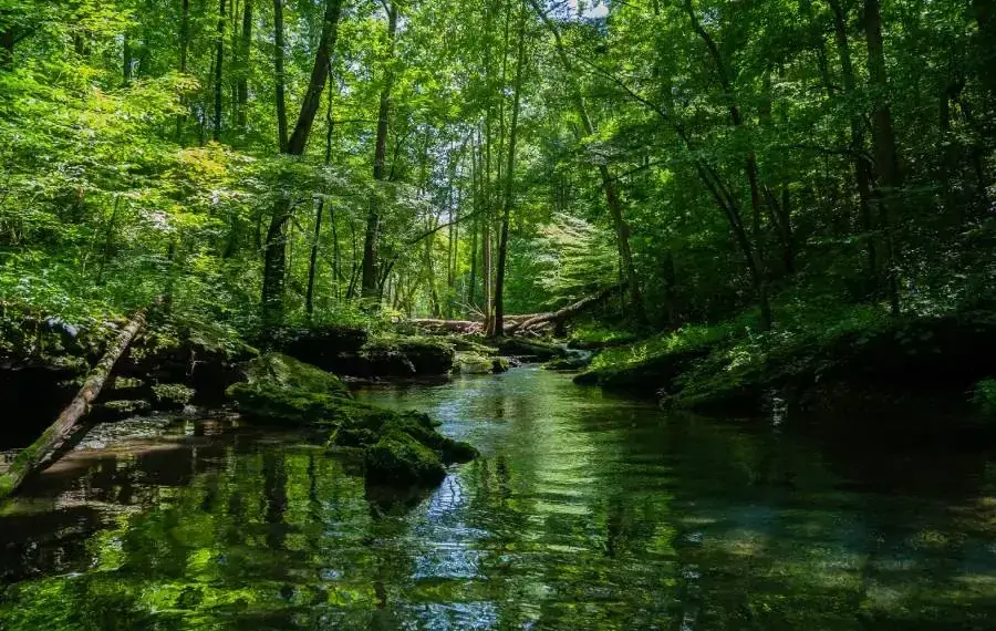 Iniciativas com foco no desenvolvimento da Amazônia Legal podem concorrer aos prêmios Professor Samuel Benchimol e Banco da Amazônia 202