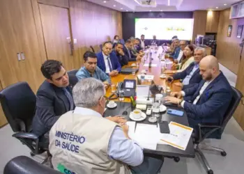 Ayres e prefeitos tratam de obras e programas de saúde em audiência com Padilha