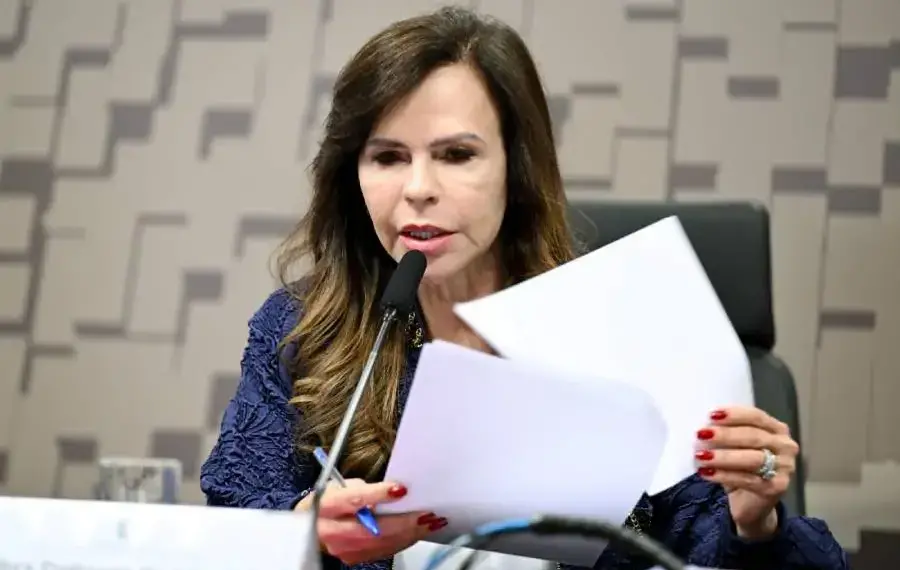 Em audiência com ministro da Integração, Professora Dorinha propõe microcrédito emergencial para população afetada por calamidades