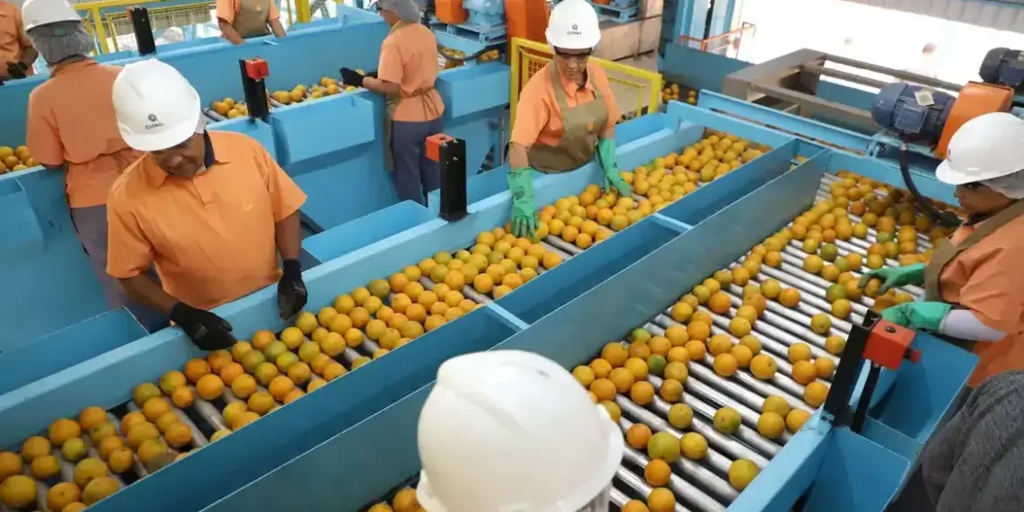 Exceções no Tarifaço de Trump incluem laranja, combustíveis, minérios e 690 itens; confira a lista