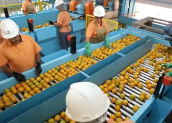 Exceções no Tarifaço de Trump incluem laranja, combustíveis, minérios e 690 itens; confira a lista