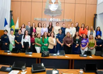 Com 254 casos nos sete primeiros meses deste ano, Câmara de Palmas realiza audiência pública sobre enfrentamento à violência contra a mulher