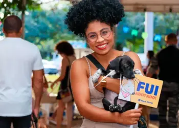 Prefeitura de Palmas promove feirinha de adoção de animais de estimação neste sábado; veja os documentos necessário
