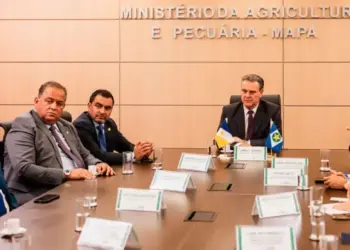 Governador Wanderlei Barbosa se reúne com ministros Fávaro e Padilha para tratar sobre novos mercados de exportação e demandas prioritárias da saúde, respectivamente