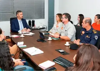 MPE e município de Palmas alinham medidas para acelerar punição de autores de maus-tratos contra animais