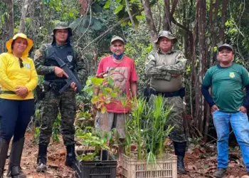 Naturatins fecha parceria com a Guarda Metropolitana Ambiental de Palmas para reforçar rondas no Parque Estadual do Lajeado