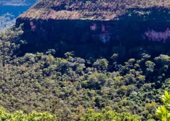 Governo do Tocantins registra redução de 19,9% no desmatamento entre janeiro e julho de 2025, aponta Centro de Inteligência Geográfica