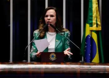 Senadora Dorinha se reúne com ministro Wellington Dias e apresenta demandas para fortalecer a assistência social no Tocantins