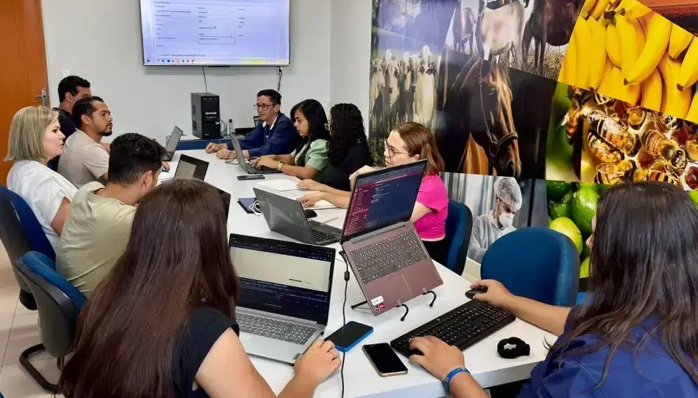 Adapec lança novo Sistema de Defesa Agropecuária na sexta-feira; plataforma atual ficará suspensa por 48 horas para migração de dados