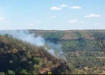 Em operação que durou cerca de oito horas, Defesa Civil de Palmas controla incêndio de grandes proporções em Taquaruçu
