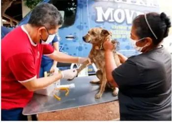 Semus de Gurupi realiza ação de prevenção à leishmaniose com castração, coleiras, testes e vacina antirrábica no Setor Industrial