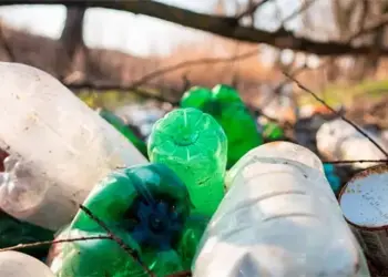 Justiça condena o município de Porto Nacional por crime ambiental devido ao descarte irregular de lixo no antigo lixão da cidade