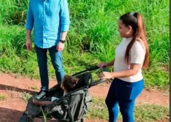 Mantoan pede ao governo aquisição imediata de vacina para prevenção de bronquiolite em recém-nascidos e crianças