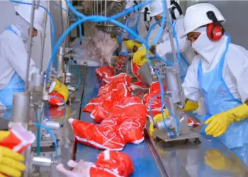 Dados do IBGE mostram que, no segundo trimestre de 2025, a taxa de desocupação no Estado foi de 5,3%