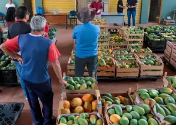Com investimento de R$ 420 mil, Prefeitura inicia nova etapa do programa Alimenta Araguaína