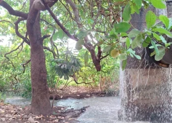 Agência de Regulação de Palmas multa BRK Ambiental em quase R$ 1,8 milhão por extravasamento de esgoto