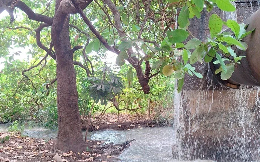 Agência de Regulação de Palmas multa BRK Ambiental em quase R$ 1,8 milhão por extravasamento de esgoto