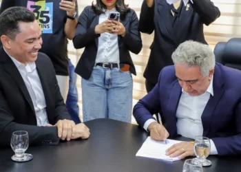 Estado quer concluir análise de mais de 4,6 mil processos de licenciamento ambiental até fevereiro de 2026; força-tarefa inicia nesta segunda-feira