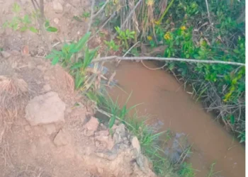 Comunidade quilombolas denuncia crimes ambientais e violações de direitos no território Quilombola Rio Preto
