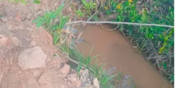 Comunidade quilombolas denuncia crimes ambientais e violações de direitos no território Quilombola Rio Preto