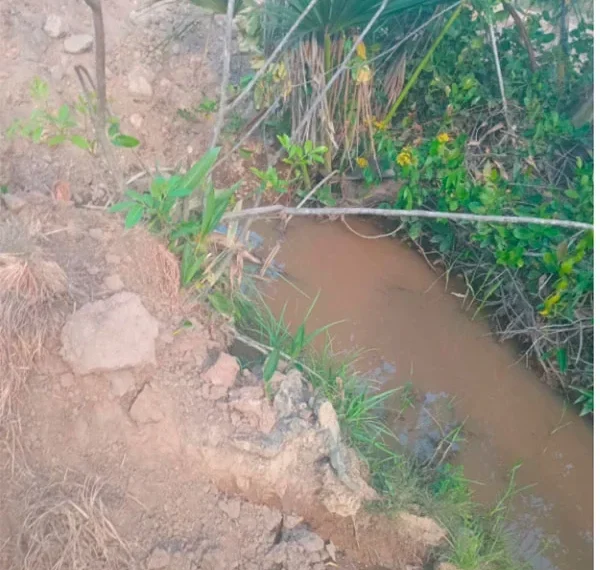 Comunidade quilombolas denuncia crimes ambientais e violações de direitos no território Quilombola Rio Preto