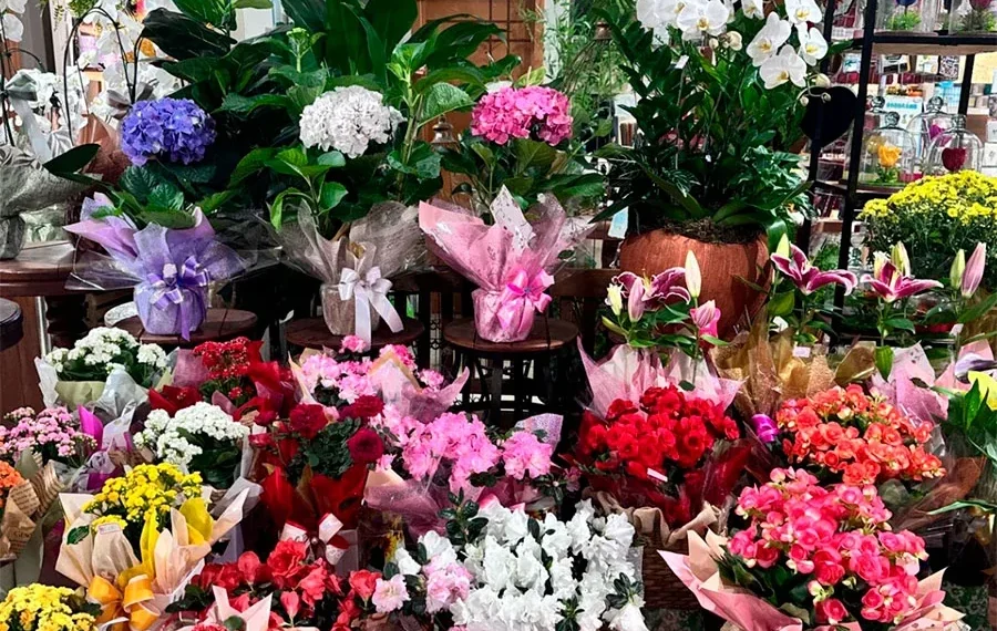 Procon encontra variação de até 2.045% em pesquisa de produtos mais procurados para o Dia de Finados