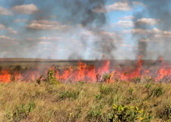 Naturatins prorroga suspensão das autorizações de queima controlada até 9 de novembro