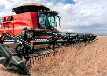 Estado deve registrar o segundo maior crescimento do PIB agropecuário do Brasil em 2025, com alta de 16,4%