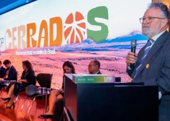 Secretário do Meio Ambiente participa da COP Cerrados em Brasília e assina carta para inclusão do bioma na agenda climática internacional