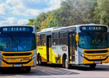 Prefeitura de Palmas disponibiliza linha exclusiva para acesso aos cemitérios no Dia de Finados