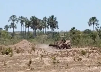 Fazenda Lagoa Dourada nega crimes ambientais e intimidação contra comunidade quilombola e garante atuação dentro da própria área