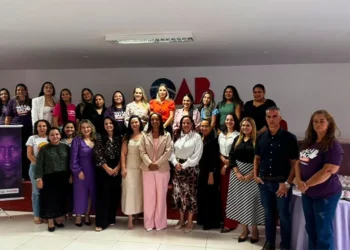 Reunião em Gurupi articula Rede de Proteção para abertura da Casa da Mulher Tocantinense no município
