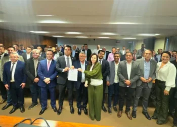 Coordenada pela senadora Dorinha, bancada federal se reúne com governador, prefeitos e instituições para tratar das principais demandas do estado