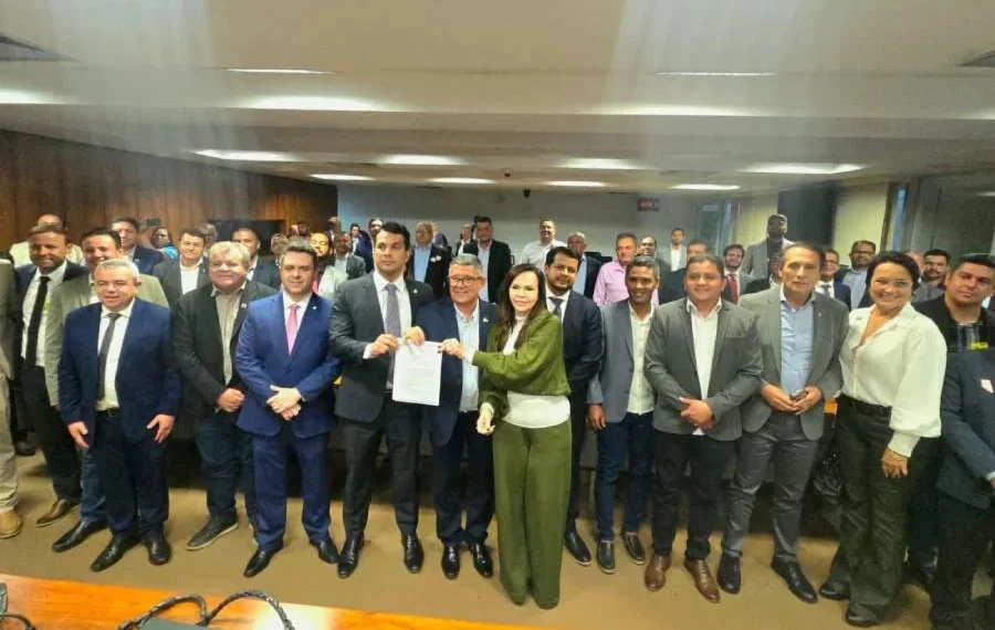 Coordenada pela senadora Dorinha, bancada federal se reúne com governador, prefeitos e instituições para tratar das principais demandas do estado