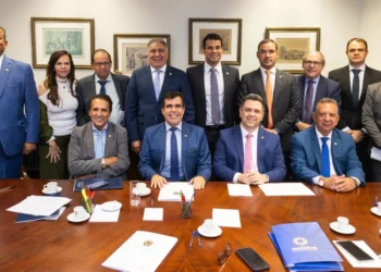 Em Brasília, Laurez pede à bancada emenda de R$ 300 milhões para reforçar a Saúde e apresenta panorama estrutural e financeiro da pasta ao MS