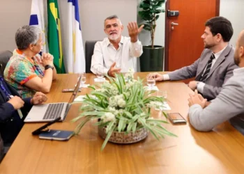 Amélio Cayres recebe comitiva na Anatel para discutir sobre a ampliação do acesso à telefonia móvel no Estado