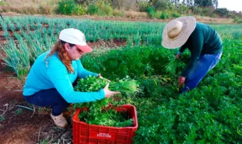 Com recurso de R$ 500 mil, Semasmu lança edital de credenciamento de agricultores familiares para o PPA