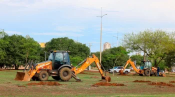 Com o plantio de 26 mil mudas, FMA dá início ao Plano de Arborização ‘Clima 360º’ da Capital: “Melhorar o clima da cidade”