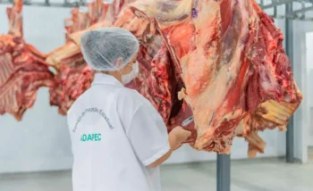 Com produção mensal que alcança 400 toneladas, Adapec concede selo de inspeção federal a frigorífico de desossa Jatobá em Palmas
