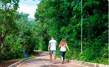 Parque Cesamar ficará fechado até esta quarta-feira para finalização da decoração natalina; funcionamento retorna na noite do dia 11