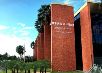 Entre janeiro e outubro de 2025, judiciário tocantinense concede mais de 4,7 mil medidas protetivas, aponta dados do CNJ