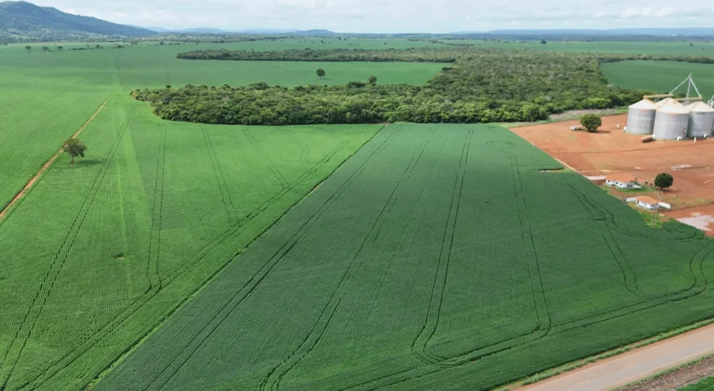 Líder em exportações, Porto Nacional vende US$ 540 milhões ao exterior de janeiro a novembro; soja é o principal produto e China a maior parceira