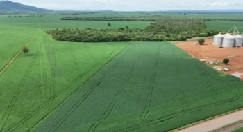 Líder em exportações, Porto Nacional vende US$ 540 milhões ao exterior de janeiro a novembro; soja é o principal produto e China a maior parceira